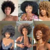 Perruques courtes Curly Afro Wigs pour femmes noires Softs et naturels perruque bouclée moelle