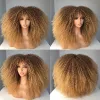 Perruques Afro Curly Wigs avec une frange pour les femmes noires perruque bordeaux Wig synthétique cheveux roux