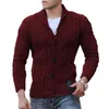 Herensweaters Geweldige wintertrui Gedraaide textuur Revers Slim Fit Herfst Effen kleur Stretch Heren voor school