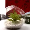 Vases Micro paysage bouteille écologique Mini verre grand récipient de jardinière rond petit support de Vase transparent Terrarium bricolage