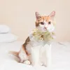 Collari per cani Lovely Cat Collar Adorabile Decorativo Adorno Accessori per cuccioli di gattini Accessori per pet Neck Accessorio Scarf