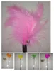 Fabryka Direct Feather Stick Pet Cat Toy Bell Kurczak z pióro kota z pióro Krótki kij kota hurtowa