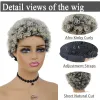 Wigs gnimegil kurze lockige Perücke synthetische weibliche afro kinky Perücken für Frauen dunkle Wurzeln grau Ombre Flauschige Kolly Haarverkauf Perücke Clearance