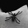 Europeu e americano punk rua personalidade assustadora alternativa aranha preta frente e atrás brincos jóias piercing aranha preta