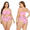 Women's Swimwear Sexy High Waisted Brazilian Bikini Set Women Plus Size Swimsuit Female Swim Suit Bikinis Summer 2 Pieces Clothing