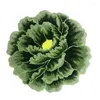 Halılar Kabarık Kaliteli Yeşil Şakayık 3D Çiçek Sanat Halı Kapı Mat Ev Dekorasyon
