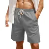 Shorts pour hommes Hommes 1pc Plage Casual Chino Cordon Taille élastique Fitness pour l'été Randonnée Lâche Polyester Pantalon court