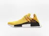 الجنس البشري Pharrell Williams hu extene Eye Top Quality Mens Womens Shoes BBC Races Runners Sneakers Size 36-47