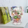 Vases paysage bouteille écologique Terrarium vertical verre décorer dôme avec base cloche pot succulent vase