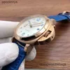 Paneraiss DEISGN Movimento Orologi Orologio da macchina luminoso Moda atmosferica da uomo Orologi da polso impermeabili super luminosi Acciaio inossidabile Automatico WN-JEWD