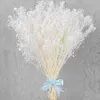 Bouquet de fleurs séchées pour bébés, 100g, branches de gypsophile naturelles en vrac, blanches, pour mariage, couronne florale, DIY, 240325