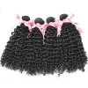 Bouteaux Greatremy 4pcs lot brésilien Bundles de cheveux humains 830 Couleur naturelle Dyable Deep Curly Virginhair Extensions Factory Hairweft