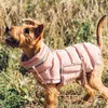 Veste de vêtements pour chiens Veste d'hiver étanche avec une laisse Viete chaude pour les gros chiens Bordeaux de protection de poitrine Clothing Pet Taded