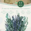 Decorative Flowers Natural Real Live Eucalyptus Leaves Fresh & Lavender Wall Hanging For Shower Wedding Arrangement Home Decor