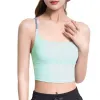 BRAS Halter Sports BH Sexig Yoga Bras Women Tank Top Crop Athletic Vest Push Up Underwear BH Sportswear Wire Free Jogging Gym Shirts