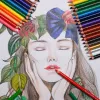 Карандаши Prismacolor 15.12.24/36/48 Цвета масляные карандашные карандашные карандаш