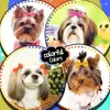 Abbigliamento per cani Pet Multi Colored Polka Dot Piccola cravatta per decorazioni carine fai -da -te