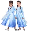 Retail kids luxury designer clothes girls dresses New Snow Queen Cloak Cartoon Party Stage Show Dress Princess Dresses Mesh Costum9330496