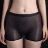 Dames slipje naadloze boksers shorts glanzend en doorzien voor vrouwen rekbare elegante perfecte perfecte seizoenen