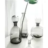 Vasen kreative Sterntinte Flasche Vase Nordic einfaches modernes Glas Home Wohnzimmer Dekorative Hydroponikblume