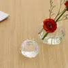 Vases en verre transparent en verre de grenade fleur en forme de grenade pour les boutures de bouton