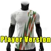 2023 Cote d Ivoire soccer jerseys Ivory Coast Football Shirts 23 24 PEPE KESSIE HALLER ZAHA BAILLY BOLY national Uniforms Fans player version vest