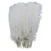 20pcs/lote penas de faisão branca para artesanato pato avestruz peru gaose penas decoração de artesanato diy decoração