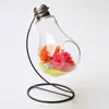 Jarrones 1SET Vase de vidrio transparente Campana Creativa Bulbo de la fruta Hidropónica Granje de flores de planta hidropónica Bonsai Decoración del hogar Regalos