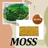 Decorative Flowers Artificial Moss Synthetic Solid Color Replacement Lichen