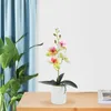 Flores decorativas Plantas em vasos simulados Flor de simulação artificial FALSA FALSA PEQUENA HOMEDECOR PLÁSTICA Decorações de casas leves para