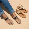 Sandales 2022 EW Summer Femmes Sandales Leopard Pee Toe CILP Toe Shoes Strap Fashion Flat Tlides Fip Flip Flops Sandal Plus taille