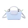 2024 New Crossbody Women Mini Hobe Bag Hotsale Dumplings Tote Bag Handbag Fashion Design Girl Small Shoulder Bags 10a