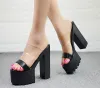 Sandals Transparent Sexy Roman Sandals Peep Toe Block Heel 14 Cm High Heel Summer Sandals Women