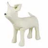 Hundkläder 2x läder mannedocker stående positionsmodeller leksaker pet animal shop display mannequin svart s m