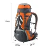 Bags Naturehike Backpack Professional Outdoor Hiking Travel Bag Big Capacity 70L Mountaineering Camping Bag Support System NH70B070B