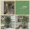 Flores decorativas Plantas verdes artificiais paisagismo Frango Maple Villas Indoor Soft Decoration Nordic Style Windows