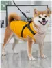 犬のアパレル冬の服屋外のコールドプルーフウォームビッグジャケット大きな犬用風車防止ペットパッド入り衣類チワワl-3xl