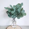 Dekorative Blumen 10pcs gefälschte Pflanzen Seiden Eukalyptus Blatt DIY Weihnachtsdekorationen Vase für Hausgarten Hochzeit Scrapbooking Künstlich