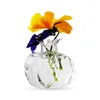 花瓶透明なガラス花瓶ザクロの形をした芽のための花挿し木植物のドロップシップ