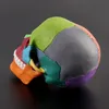 1 Цвет для взрослого черепа 4D разборка включала 15 ПК.