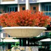 Fleurs décoratives fleur artificielle automne eucalyptus laisse de fausses branches bouquet orange rouge décoration de jardin pour la maison