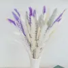 Dekorativa blommor boho stil blommor arrangemang vita lila naturliga pampas gräs för modern heminredning fluffig festarrangemang