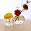 花瓶透明なガラス花瓶ザクロの形をした芽のための花挿し木植物のドロップシップ