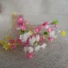 Decorative Flowers Natural Floral For Decoration Small Star Mini Daisy Dried Home