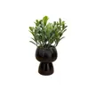 Fiori decorativi Hxgyzp Piante artificiali Mini foglie verdi in vaso con carine ceramica in ceramica Home Office Desktop decorazione finta pianta bonsai