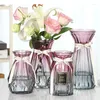 Jarrones de cuatro piezas Simple Glass Vase Transparente Flower Bamboo Flower Room Arreglo