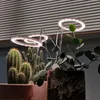 Storage Bags LED Grow Light Full Spectrum Phyto Lamp USB Angel Ring For Succulents Flower Plants Growth (Sunshine)