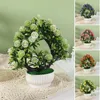 Fleurs décoratives Bonsai Artificielles Plantes d'aloès réalistes sans arrosage mini simulation Petite tomate Plante Plant Table Ornement Home Room