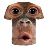 Ny Summer Leisure Fashion Kort ärm för män och kvinnor med Gorilla 3D Digital Print T-shirt