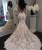 2020 Sexy Arabic Mermaid Wedding Dresses Appliques in pizzo Abiti a maniche lunghe Illusione Sheer Button Back Sweep Train Plus size Brida7996437